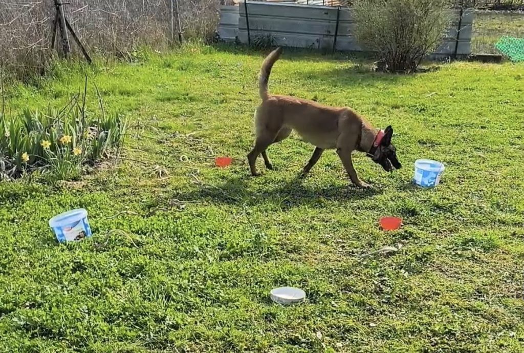 Athena lors d'une initiation en Hunting Game